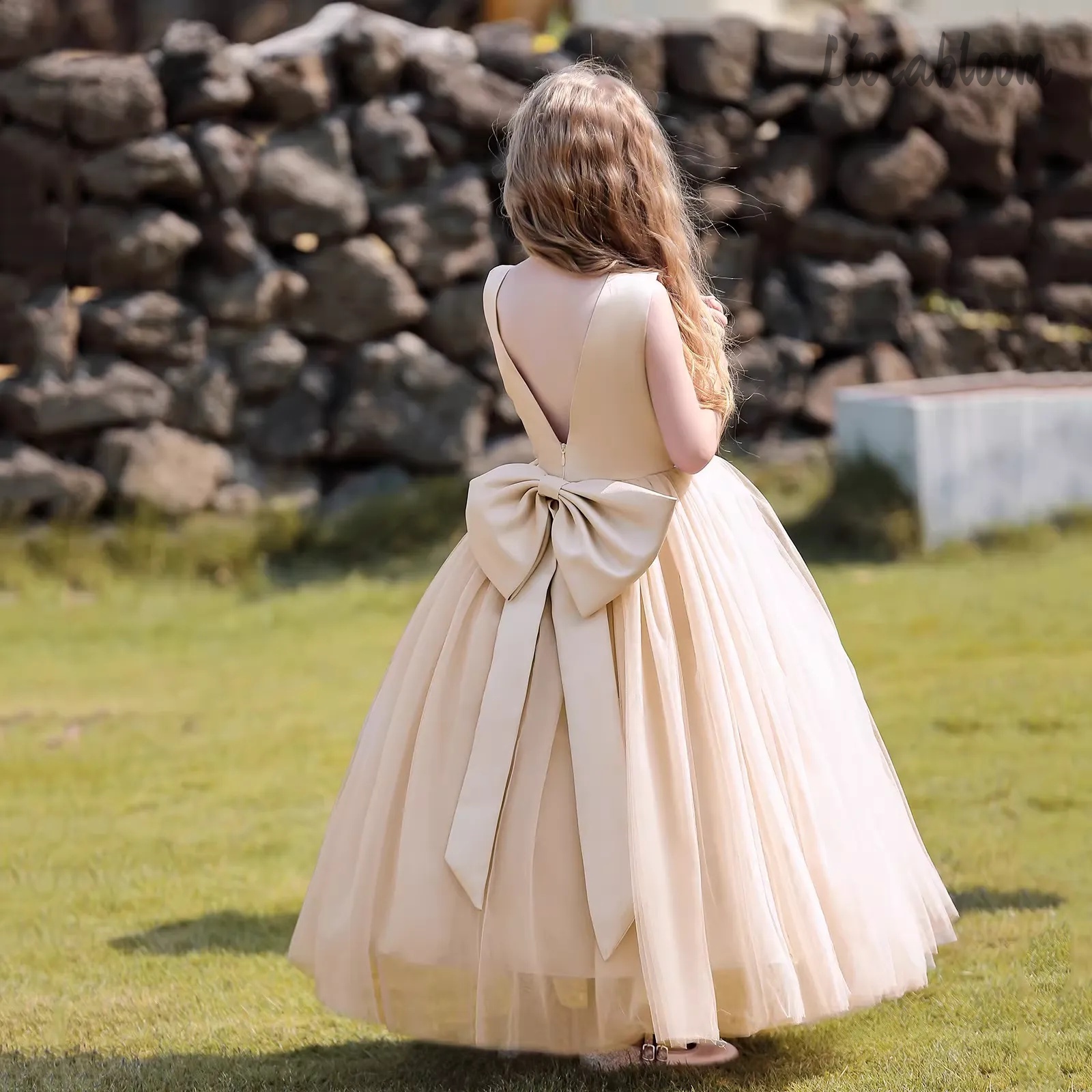 Multicolor Backless Princess D – обзор и цена Women'S Elegant Formal Wear